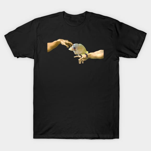 Creation of a Goffin's cockatoo T-Shirt by FandomizedRose